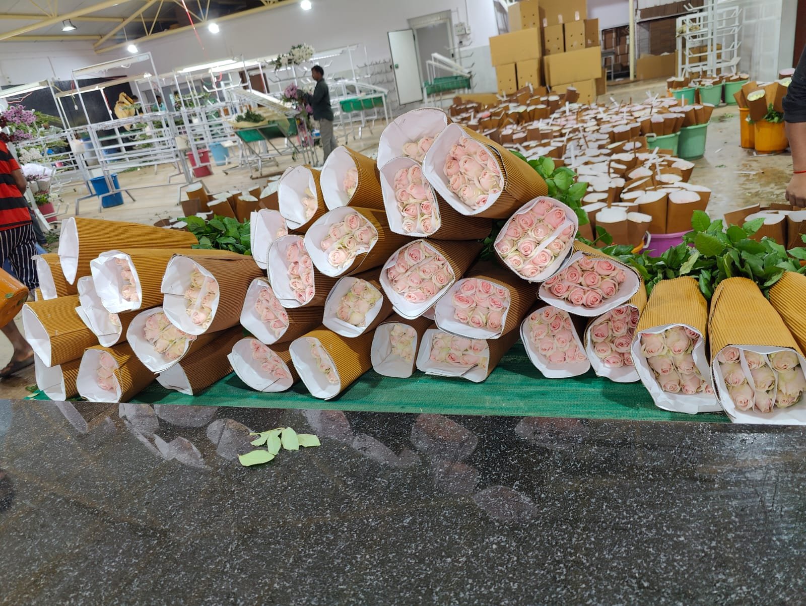 whatsapp image 2023 09 27 at 12.57.29 pm