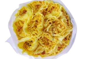 carnation 9 copy removebg preview